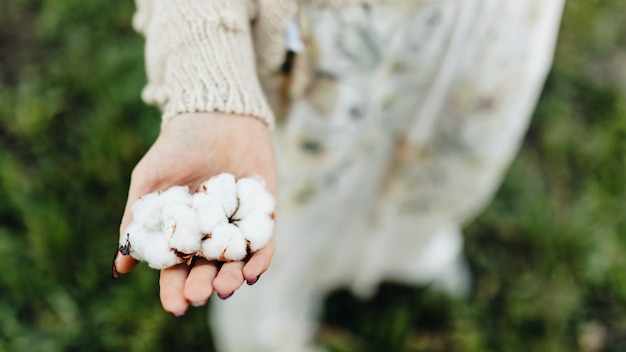 Katoenen bloemen op de hand van een vrouw