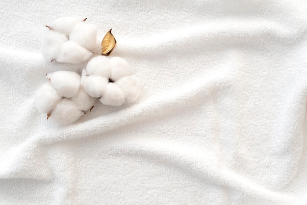 Katoenen bloemen op het oppervlak van een witte badstof handdoek. Schone handdoek als textuur of achtergrond. Bovenaanzicht.