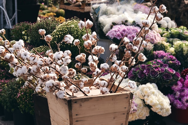 Katoenen tak en struiken van chrysanten bloeien in de bloemenwinkel. Herfst decoraties.