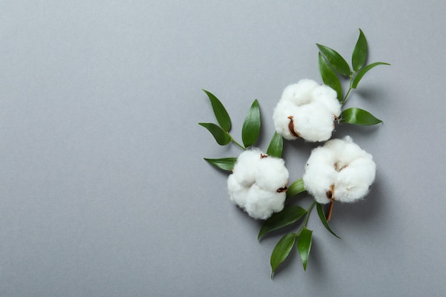 Foto katoenplant bloemen en bladeren op grijs