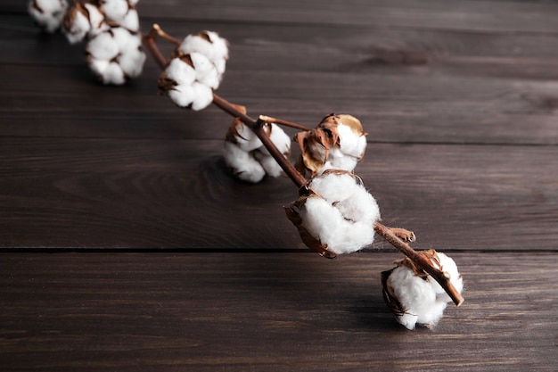 Katoenplant met witte bloemen op bruin houten achtergrond