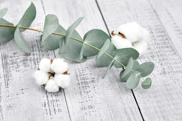 Katoenplant witte bloemen en groene eucalyptusbladeren op grijze houten tafel