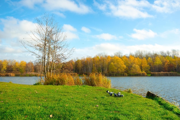 Katowice in autumn