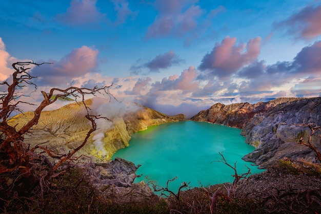 인도네시아 자바의 죽은 나무가 있는 Kawah Ijen 화산.