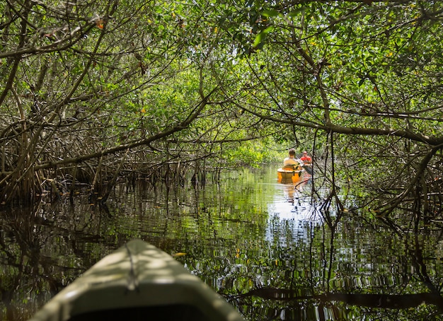 Kayaking in het Nationale park van Everglades, Florida, de VS