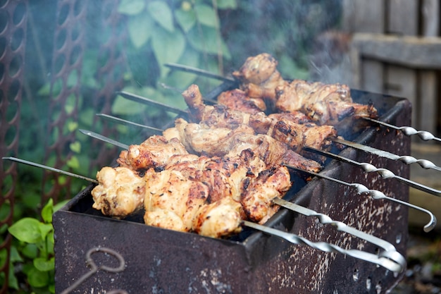 Kebabs in de natuur, op een oude zelfgemaakte grill, met een ondiepe scherptediepte