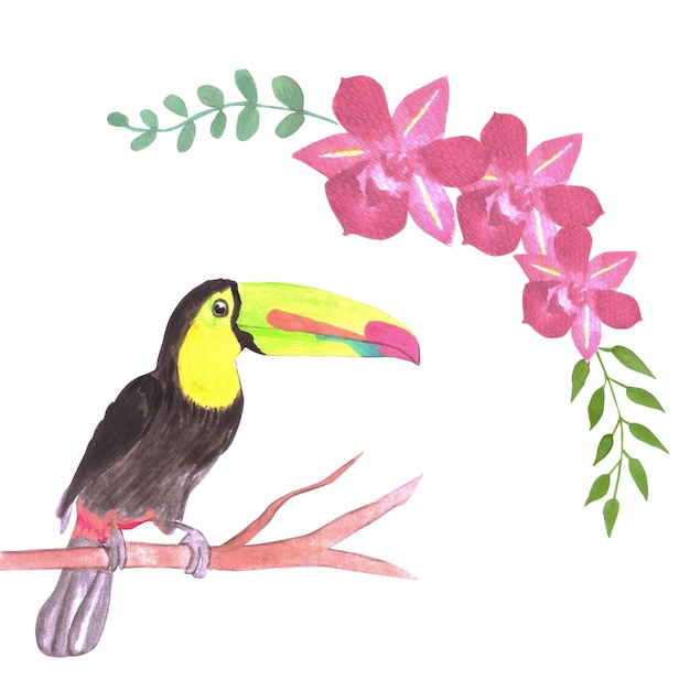 Keel billed Toucan vogel of Ramphastidae sulfuratus vogel naadloze waterverf vogels en orchidee bloemen