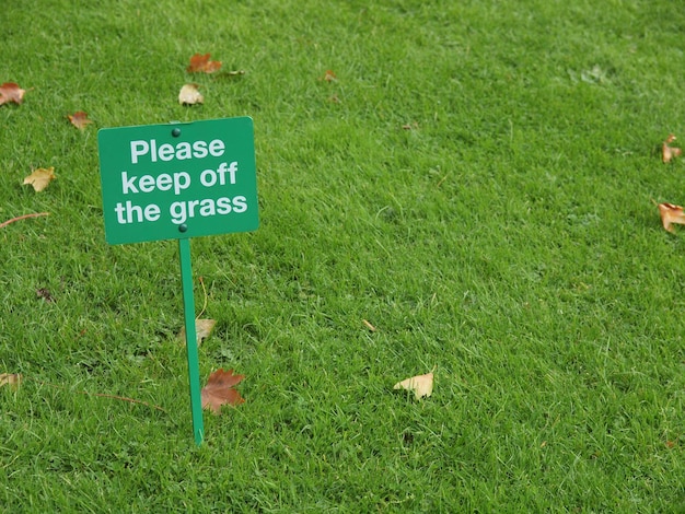 analyzing soil conditions for healthier grass