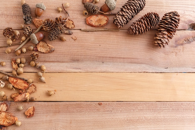 kegels, eikels en stukken hout op een houten achtergrond