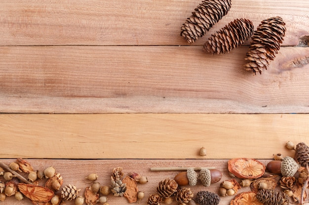 kegels, eikels en stukken hout op een houten achtergrond