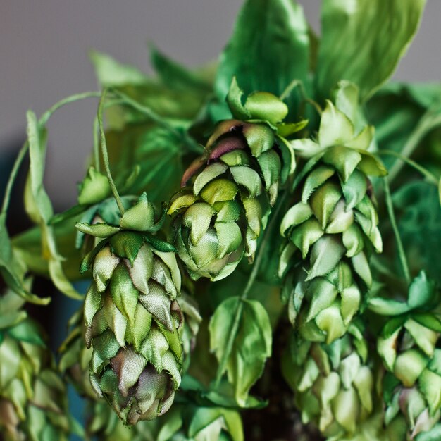 Kegels van groene hop. Kunstzijdebloemen in het binnenland