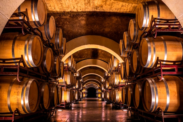 Kelder met vaten voor opslag van wijn in Spanje