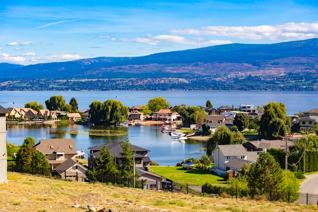 Kelowna-wijngaarden. wijngaardlandschap in british columbia, kelowna, canada