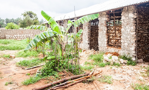 Kenia, Malindi-stad. Detail van traditionele techniek voor het bouwen van arme huizen