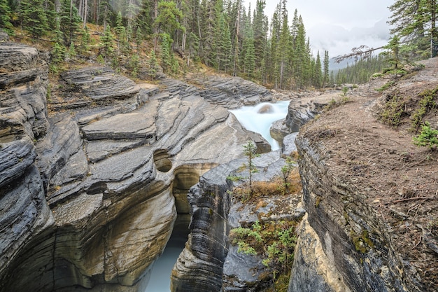 Kenmerkende bochtige Mistaya Canyon Mistaya River Banff National Park AlbertaCanada