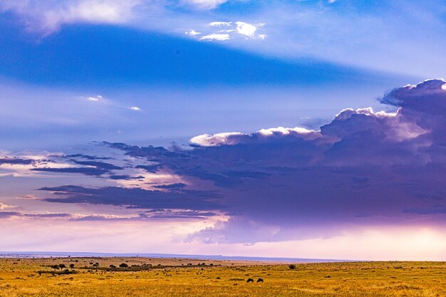 Kenya Landscapes Dramatic Clouds Sunset Rainbows Savanna Grassland Maasai Mara National Game Reserve