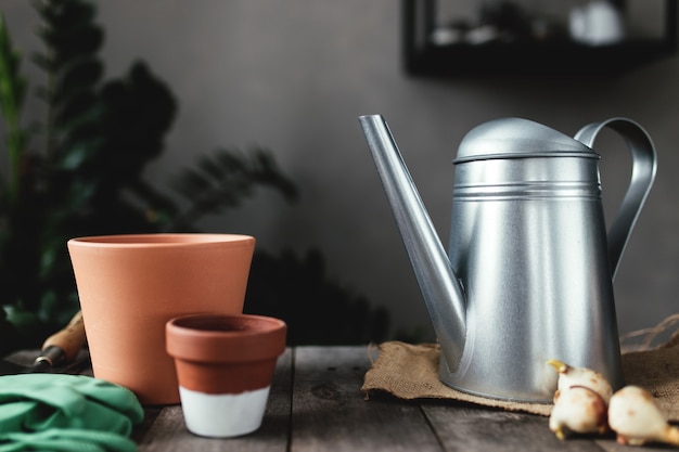 Keramische potten op een oude grijze houten tafel, tulpenbollen, gieter, groene handschoenen en tuinschep. hoge kwaliteit foto