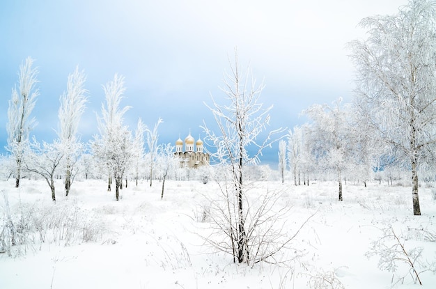 Kerk in de winter