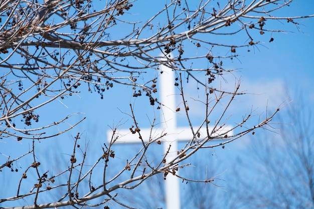 Kerkkruis buiten achter een boom