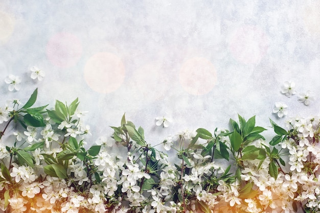 Kersenbloesems op houten pastel achtergrond met bokeh lichten bovenaanzicht, kopieer ruimte. Plat leggen met lentebloemen, hallo lenteconcept in natuurlijke pastelkleuren met bokeh