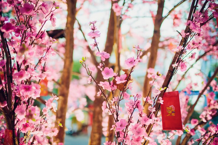 Foto kersenbloesems voor chinees nieuwjaar