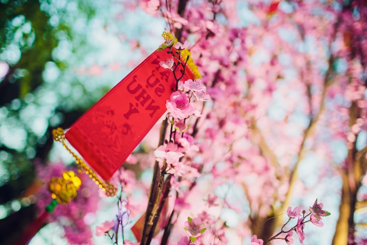 Foto kersenbloesems voor chinees nieuwjaar