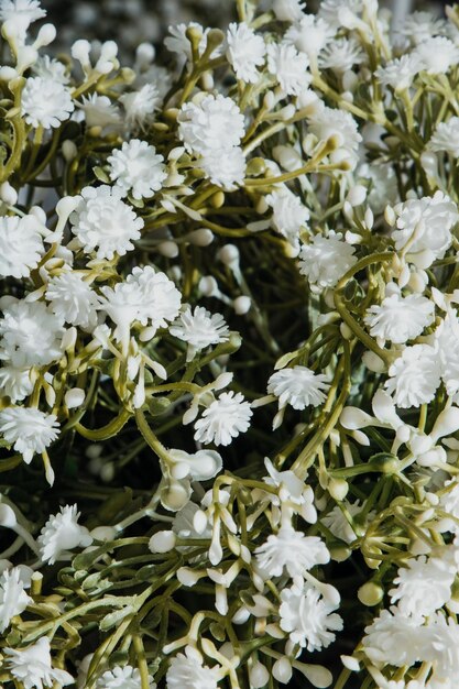 Kersentak met witte bloemen over wit