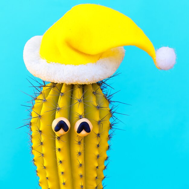 Kerst Cactus Hipster. Tropisch kerstconcept