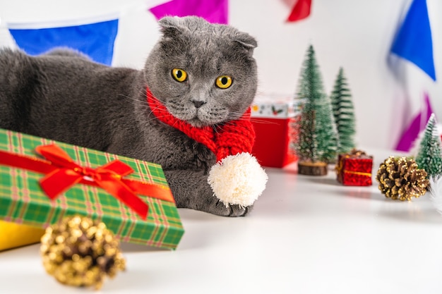 Kerst grijze kat met versieringen en geschenken Mooie wenskaart voor het nieuwe jaar