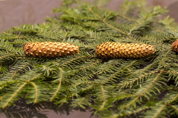 Kerst groene dennenspar sparren tak op houten achtergrond