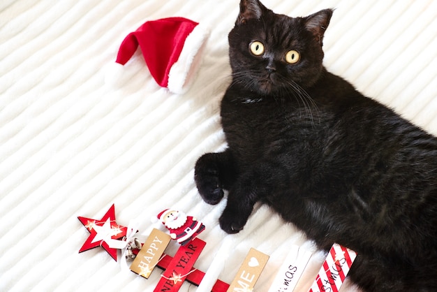 Kerst kat ligt op een witte deken met houten kerstboom