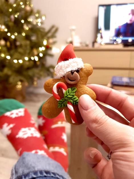 Kerst knuffel sfeer thuis sfeer peperkoek koekje Kerstman