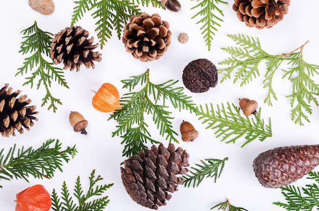 Foto kerst natuur patroon met rowan bessen, dennenappels en rode physalis