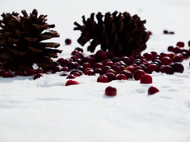 Kerst ornament in de sneeuw met veenbessen.