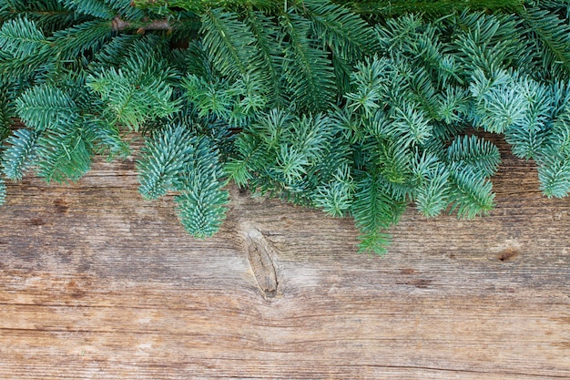 Kerst verse groenblijvende boomtakken