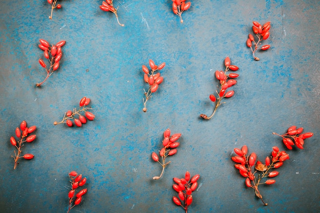 Kerstachtergrond met rode bessen van berberis