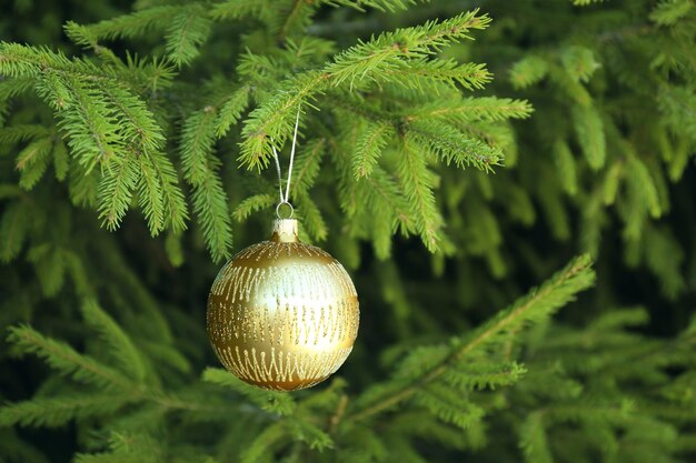 Kerstbal die aan dennenboom hangt