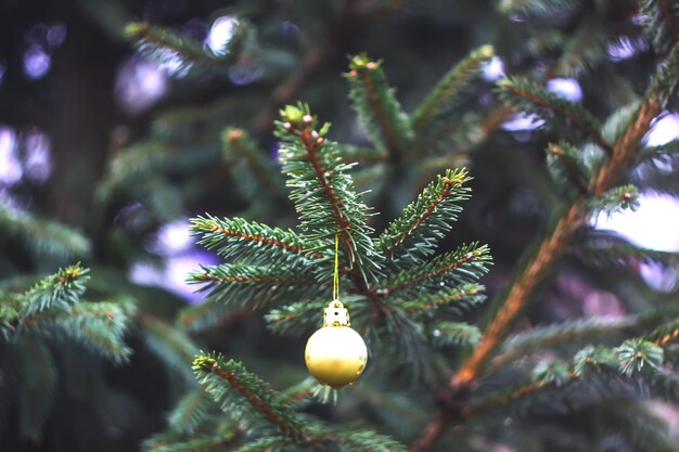 Kerstbal die buiten aan een sparrentak hangt