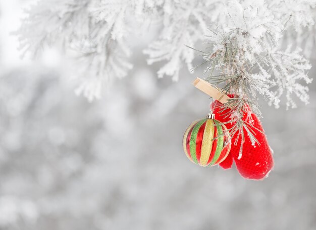 Kerstbal en want buiten