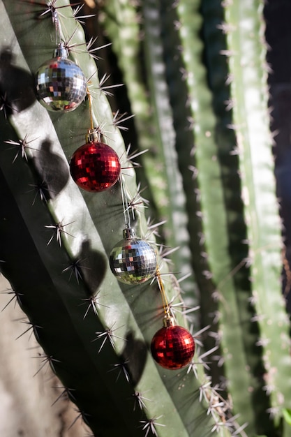 kerstballen decoratie op cactus