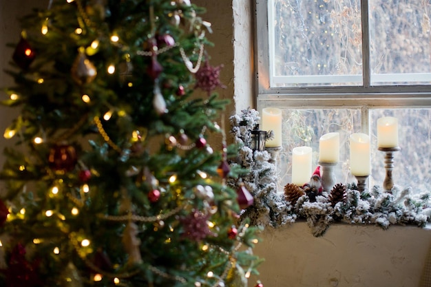 Kerstboom bij raam