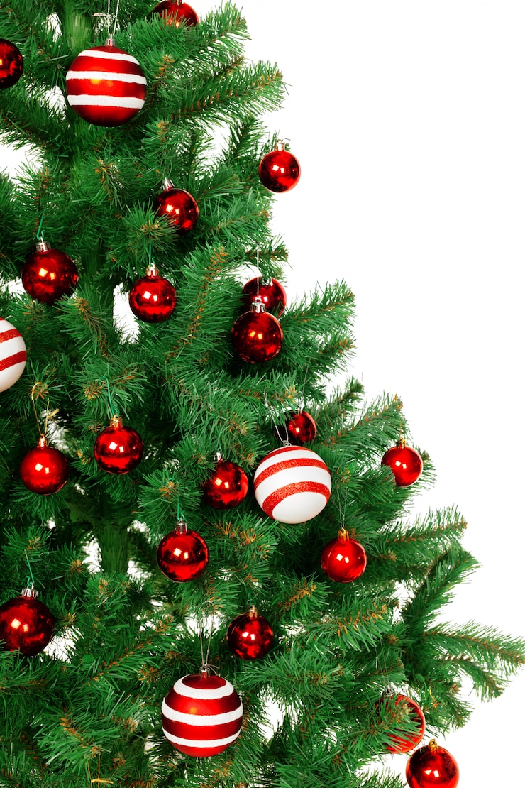 Foto kerstboom geïsoleerd