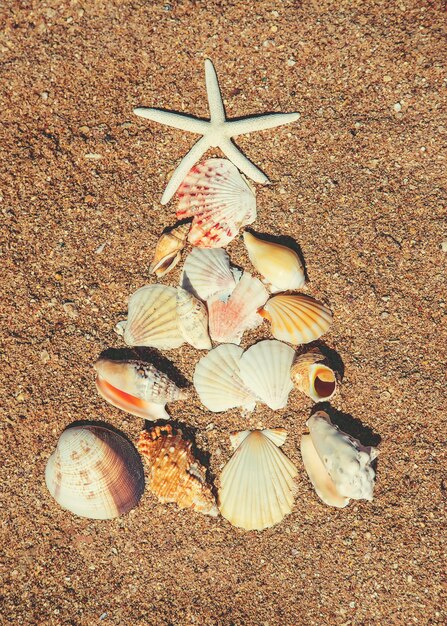 Foto kerstboom gemaakt van schelpen in het zand
