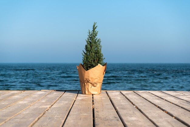 Foto kerstboom in een pot gewikkeld in ambachtelijk papier op een pier aan zee tropische kerstvakantie