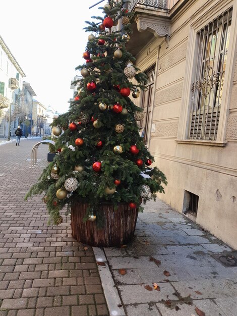 Kerstboom in het centrum