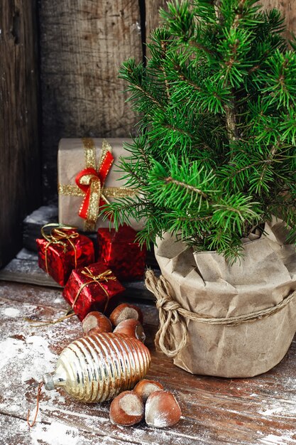 Kerstboom in pot