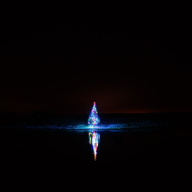 Kerstboom met slingers op een achtergrond van de nachtelijke hemel weerspiegeld in de rivier.