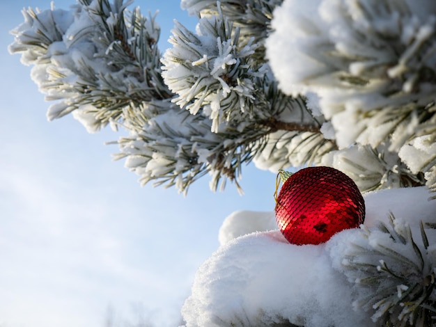 Kerstboom met sneeuw en kerstbal feestelijke winterachtergrond met bokeh Nieuwjaarskaart