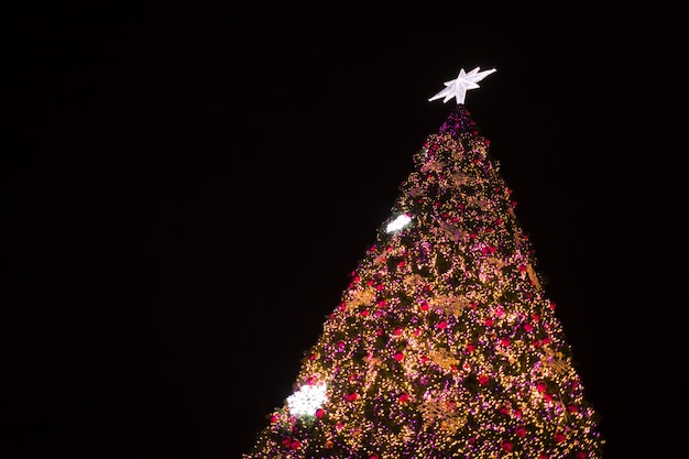 Kerstboom met witte ster op de top in de avond.