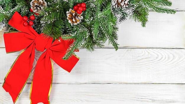 Kerstboom op de plant